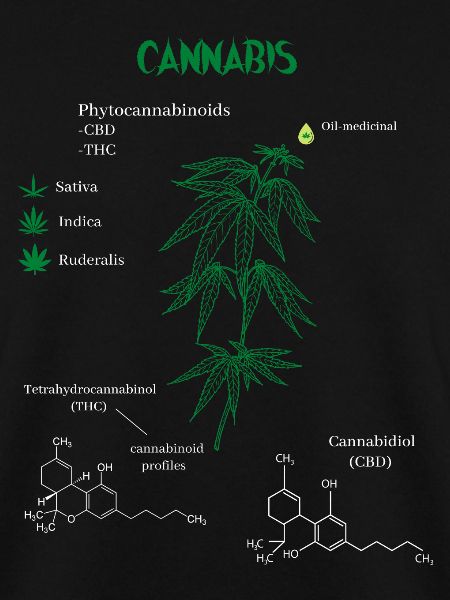 Cannabis Chemical Formula