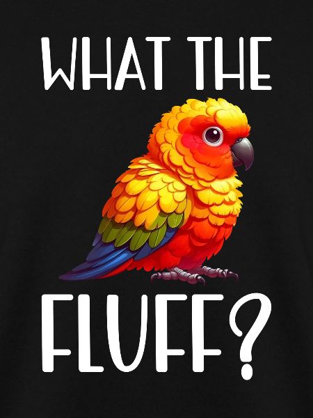 Sun conure