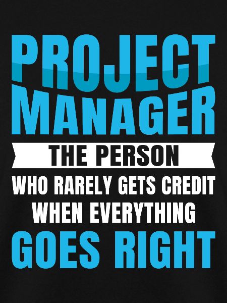 Project Manager