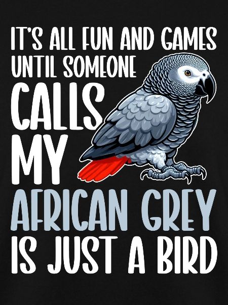 African Grey Parrot