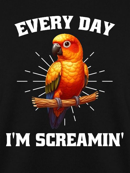 Sun conure