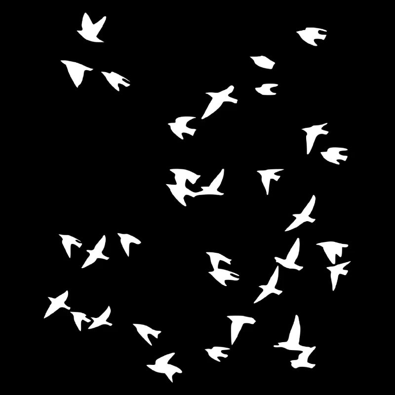 Bird flock flies