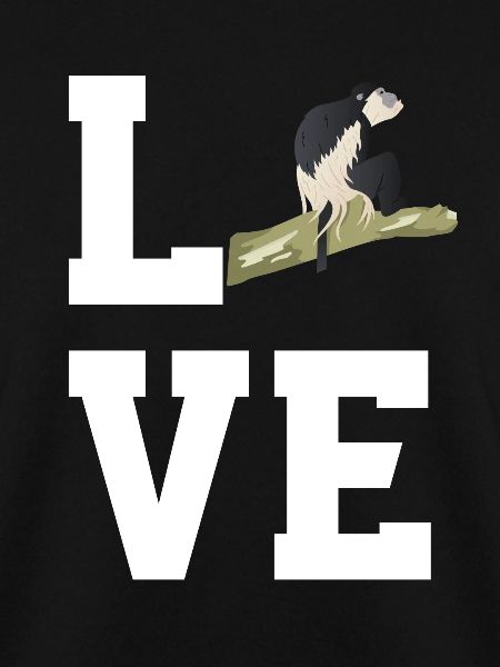 Colobus monkeys