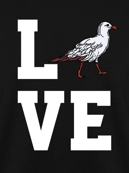Dear Seagull