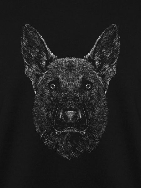 Deutscher Schäferhund