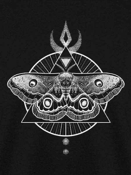 Occult carpet moth