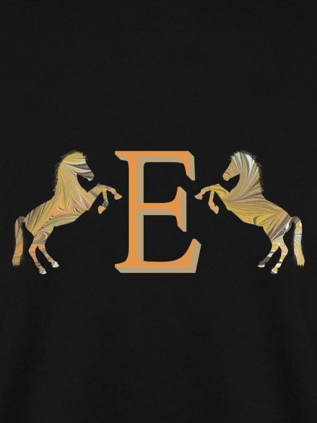 pferde e 113 e