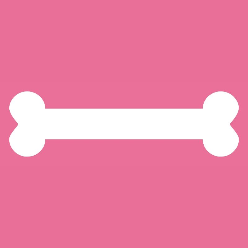 Knochen