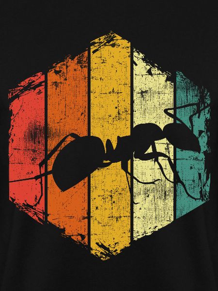 Ant