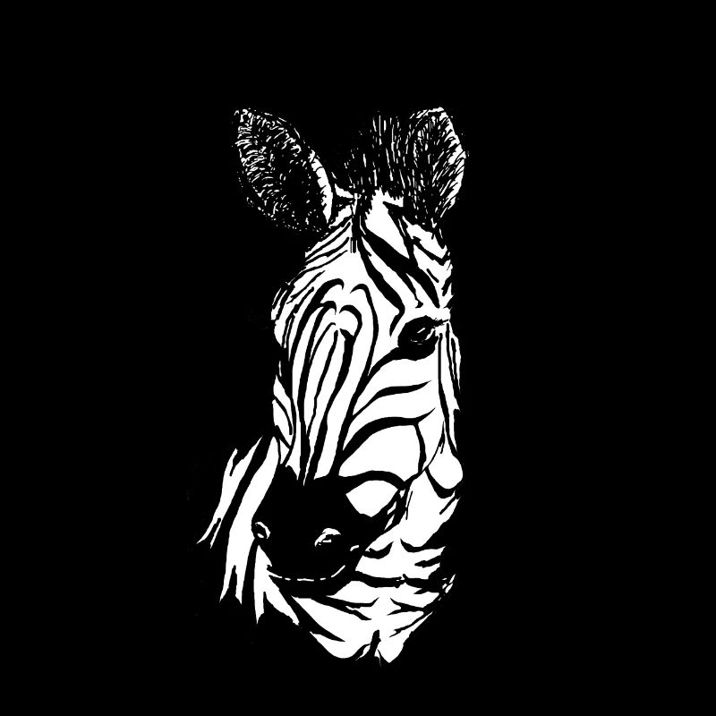 Zebra Süd Afrika Geschenk Serengeti Savanne Karte