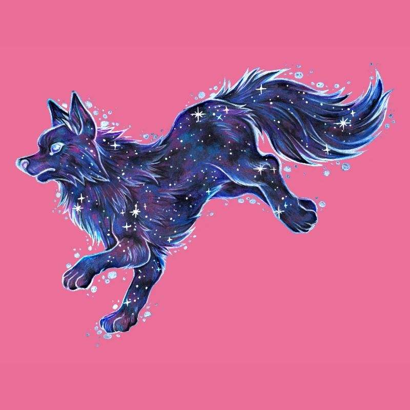 Cooler Galaxy Fuchs Wolf Galaxytier Sternzeichen