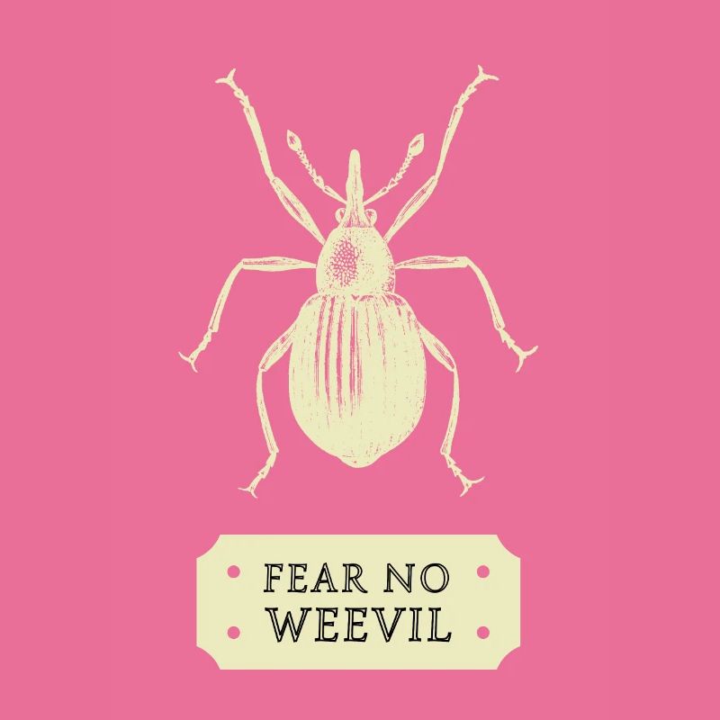 fear no weevil