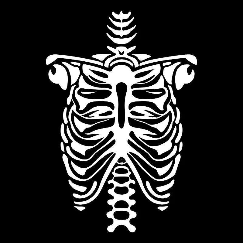 Rib Cage skeleton