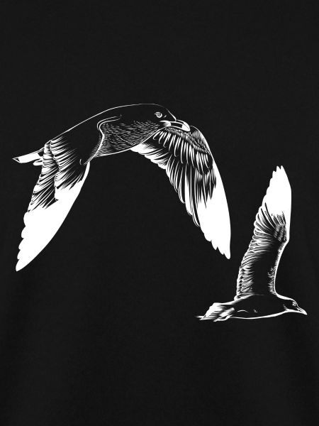nautic seagulls