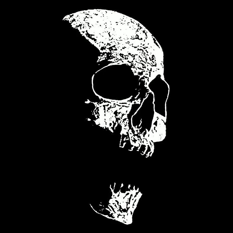 Fieser Monster Skull