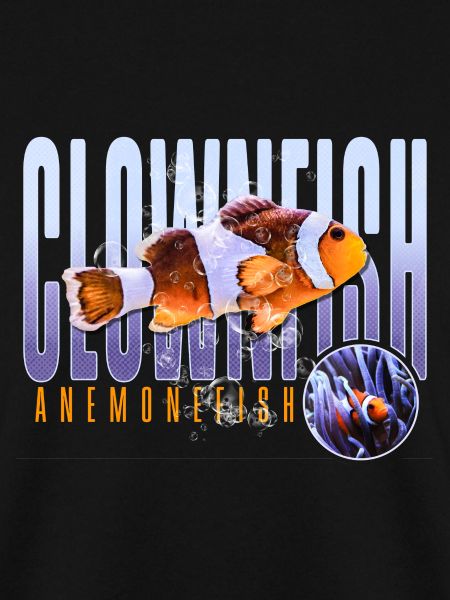 Clownfisch Anemonenfisch