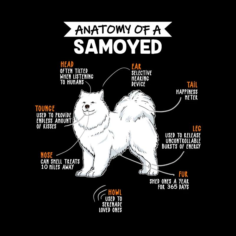 Samojede Anatomie Hunde Geschenk