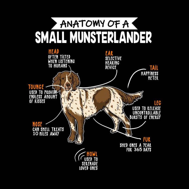 Kleiner Münsterländer Anatomie Hunde Geschenk