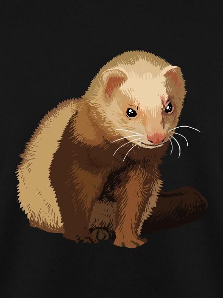 Lustiges Frettchen Frettchenliebhaber Tierfreund