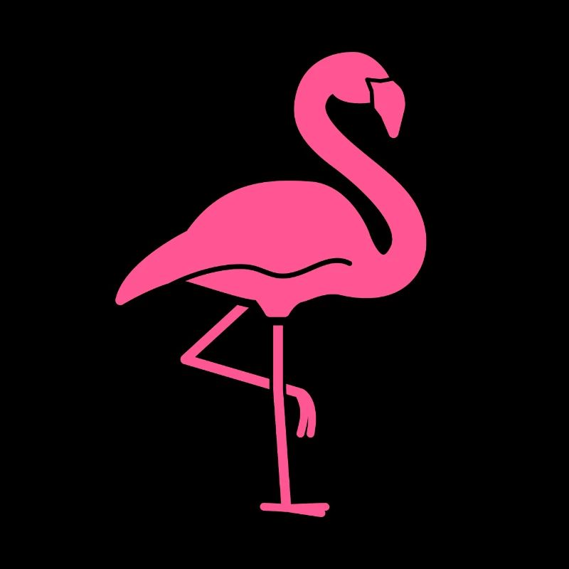 Flamant rose oiseau