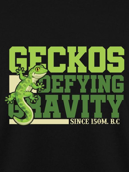 Geckos Defying Gravity