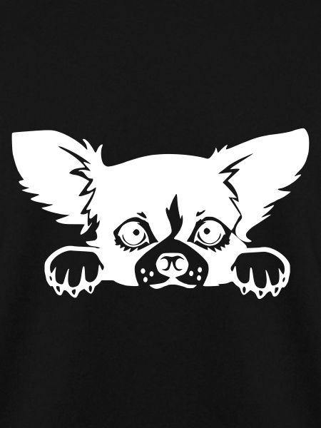 chiwawa chihuahua