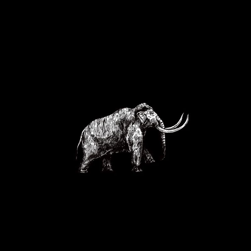 Humour Camping-car évolution