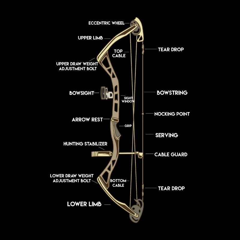 Anatomie d'un arc | Composé de tir à l'arc Arrow