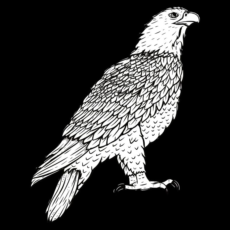 Adler
