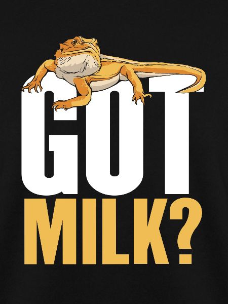 Bearded dragon likes milk