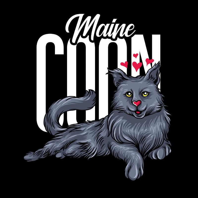 Maine Coon chat