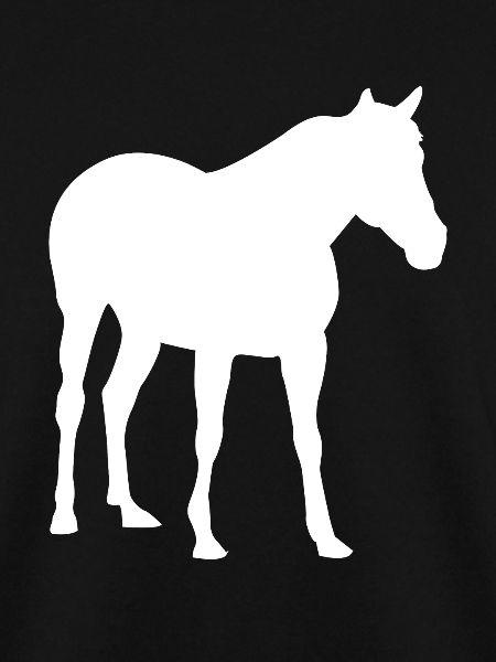 Pferd Reiten Pferde