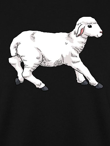 Junges Schaf Lamm