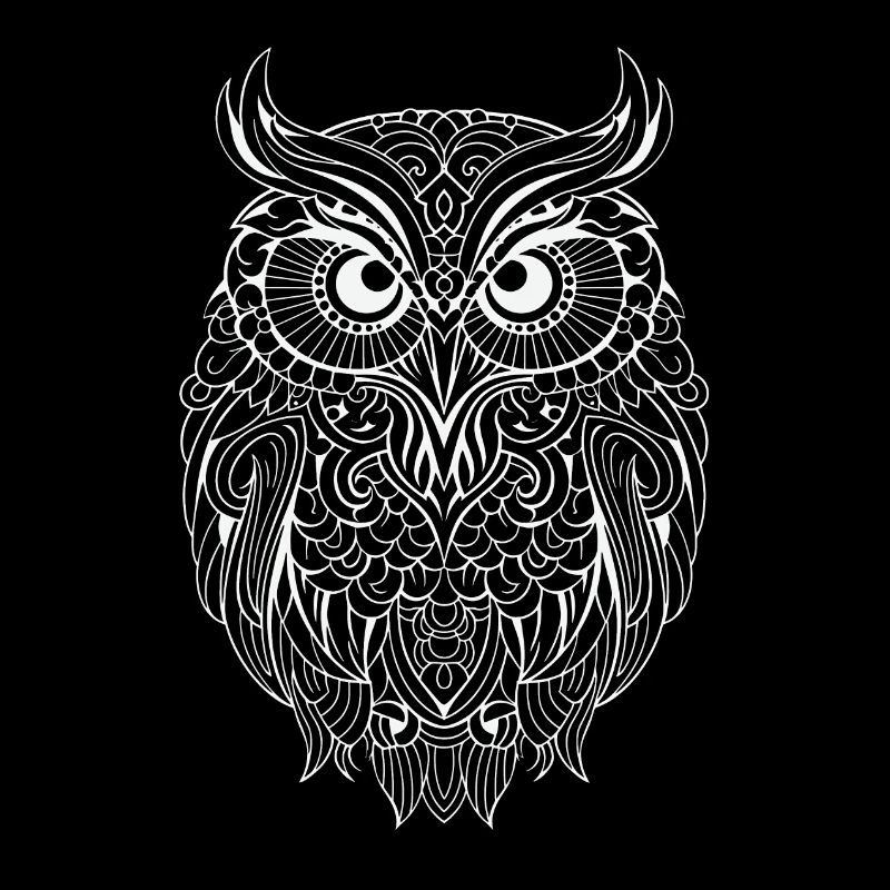 Mythical Magical Boho Owl with Patterns