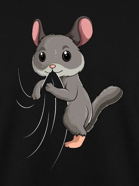 Chinchilla Kinder Mädchen Frauen