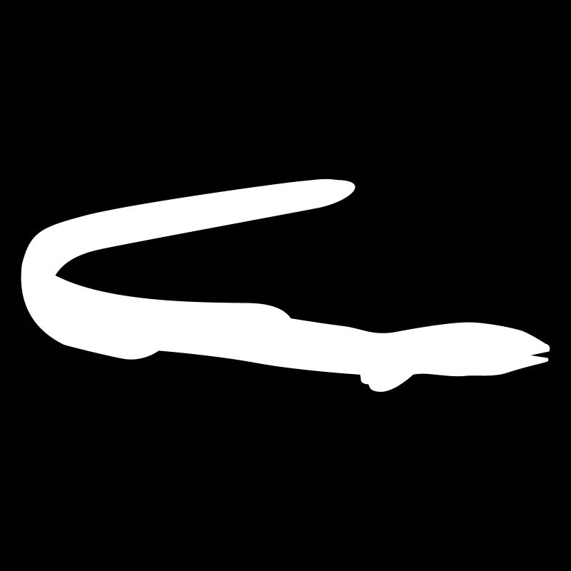 Fish eel