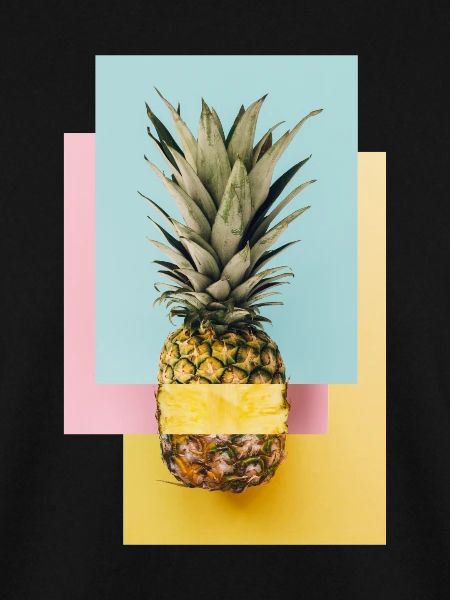Bunte Ananas / Geschenk Idee