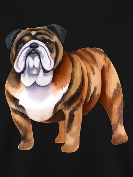 Bulldogge Hund Liebhaber Tier