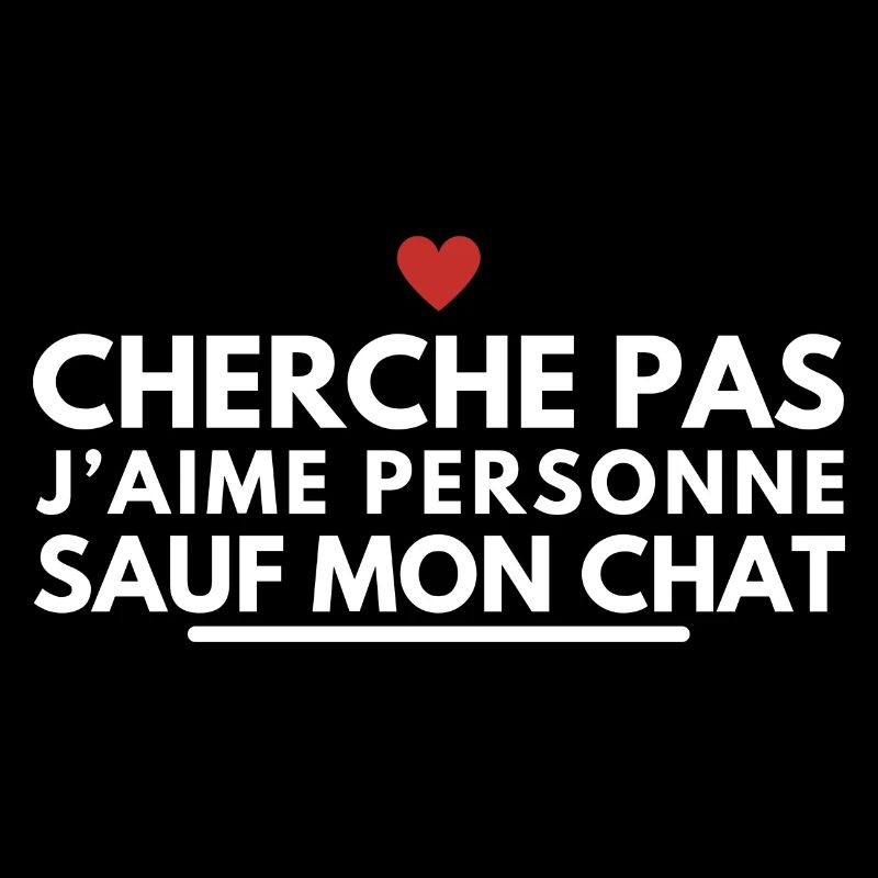 Cherche pas j’aime personne sauf mon chat