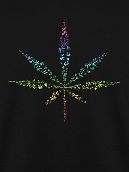 Cannabis Hanf