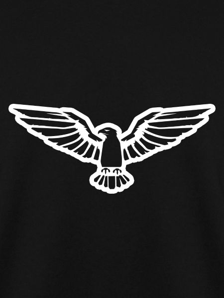 Eagle Eagle Head
