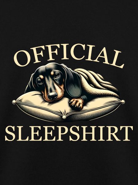 Sleeping Dachshund – Pure Relaxation