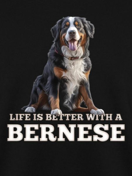 Bouvier bernois