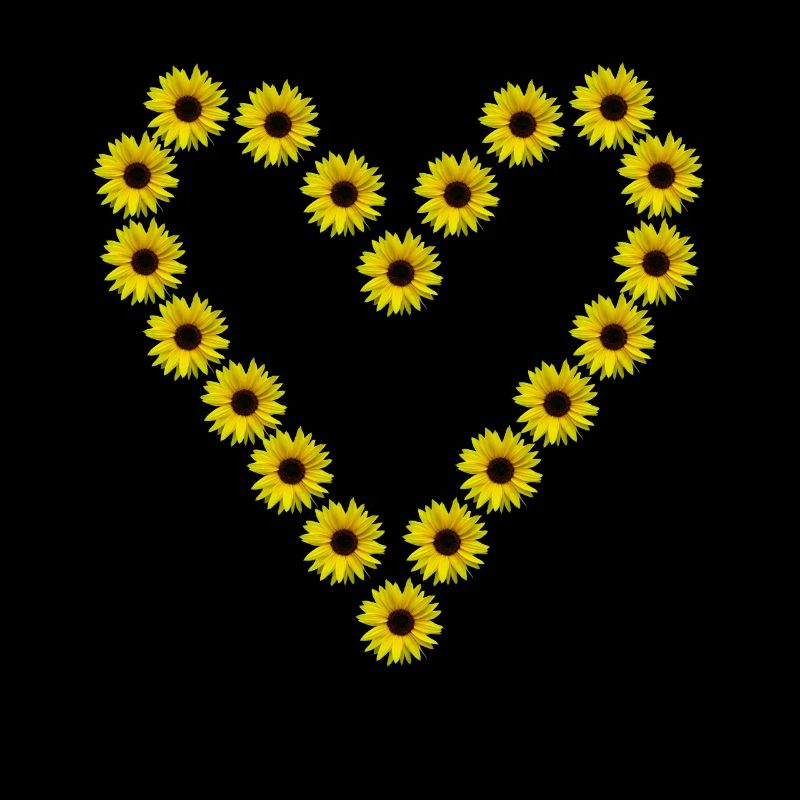 Sonnenblumenherz, Sonnenblumen, Sonnenblume, Herz