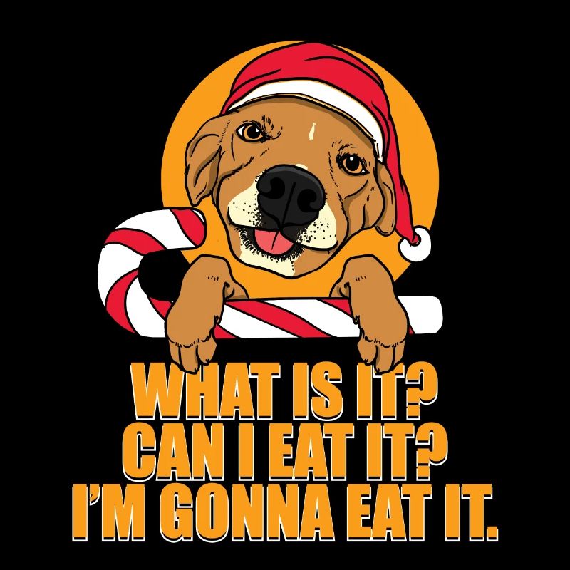 Weihnachtshund Weihnachten Hunde Geschenk