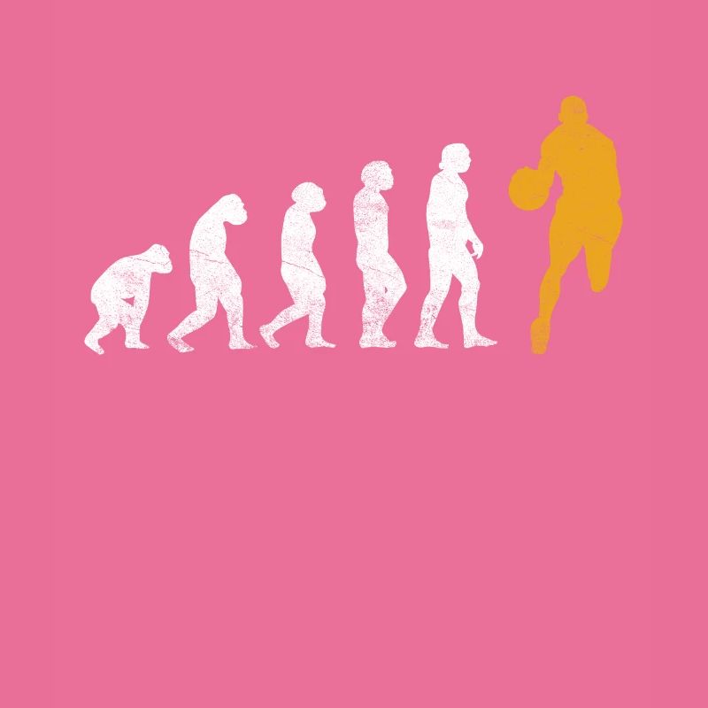 Evolution du basket