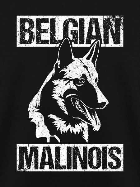 Belgian Malinois Hunde