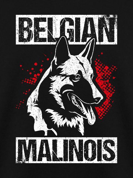 Belgian Malinois Hunde