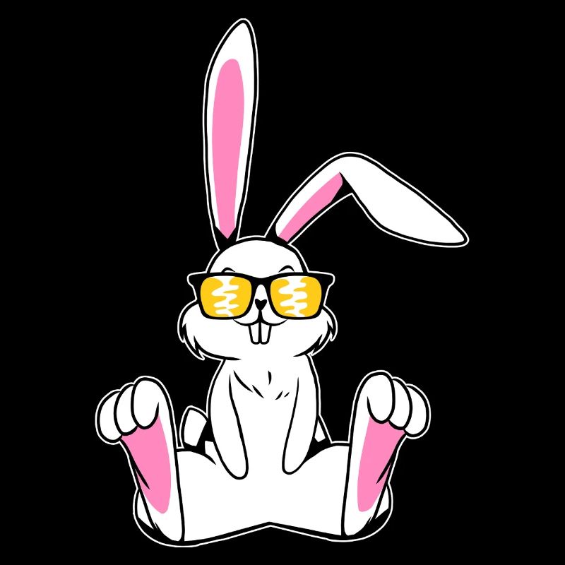 Lapin avec lunettes de soleil Lapin Bunny Lover