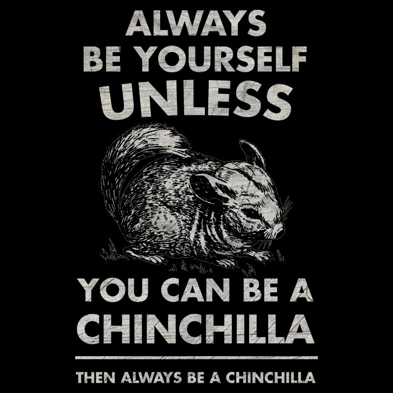Chinchilla